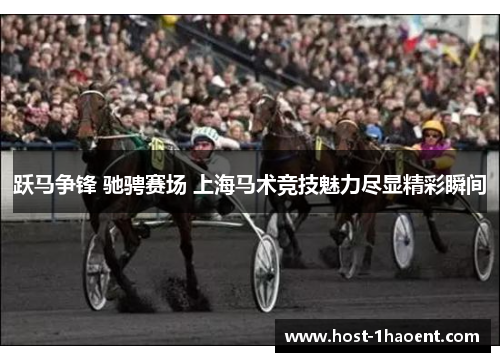 跃马争锋 驰骋赛场 上海马术竞技魅力尽显精彩瞬间