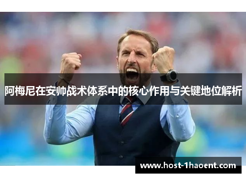 阿梅尼在安帅战术体系中的核心作用与关键地位解析